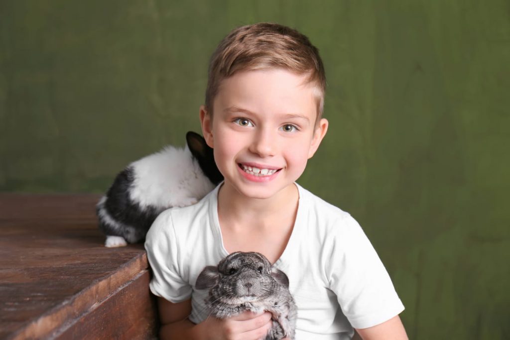 Cute boy with funny chinchilla and rabbit 