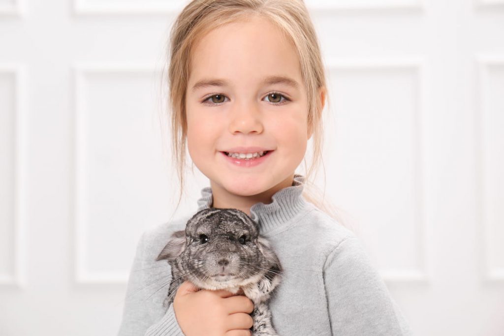 Cute girl with funny chinchilla