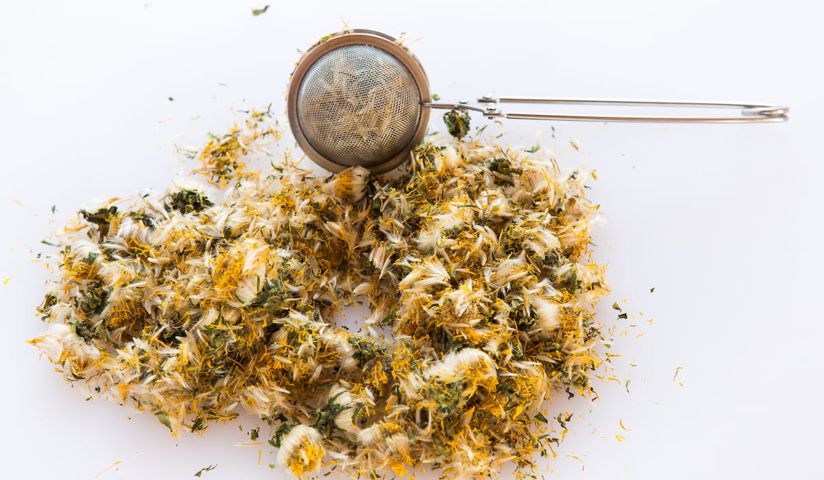 сухие одуванчики. одуванчик сушеный. сухие одуванчики. одуванчик высушенный. одуванчик сушеный.