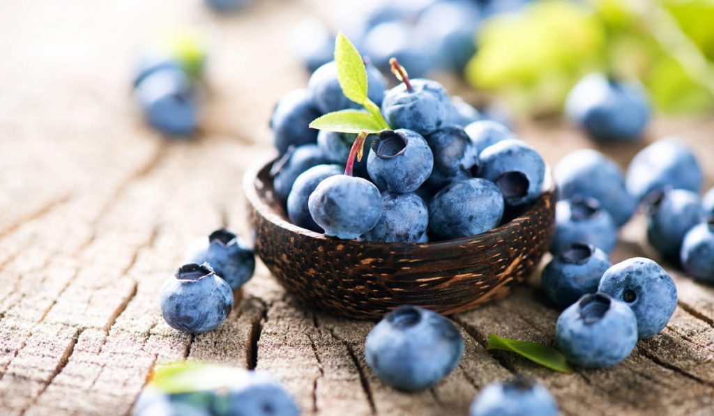 Freshly picked blueberries in wooden bowl