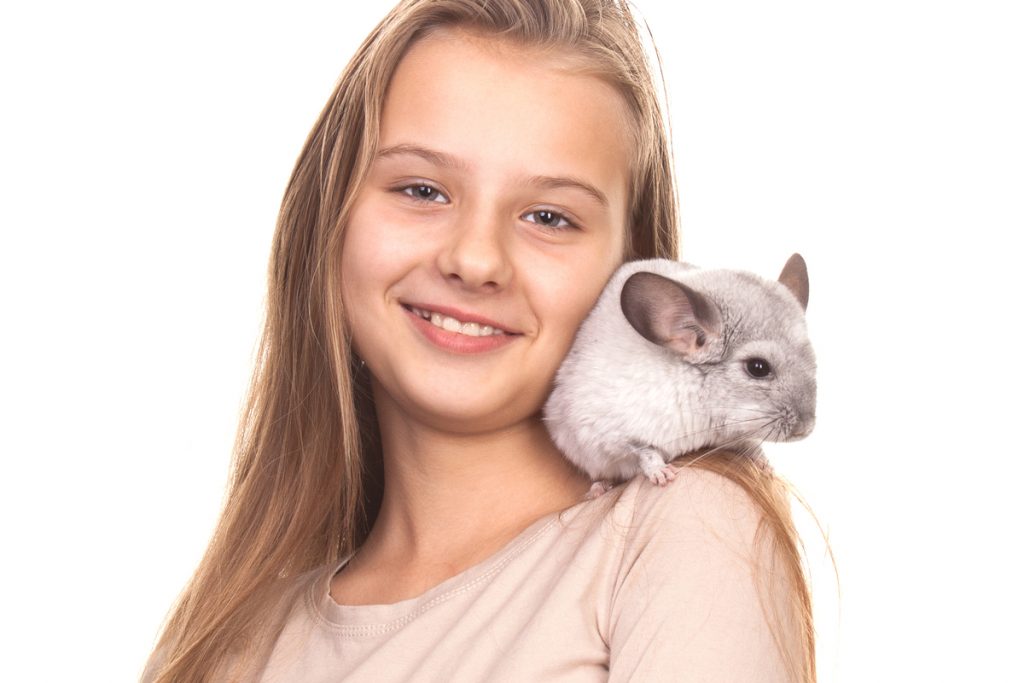 Girl and chinchilla 