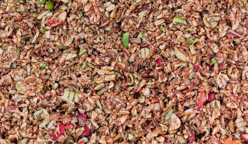 Leftover apple pomace from cider mill